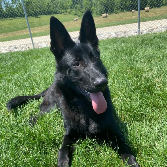 Meet your Posher, Rachel - Picture 7 of 15